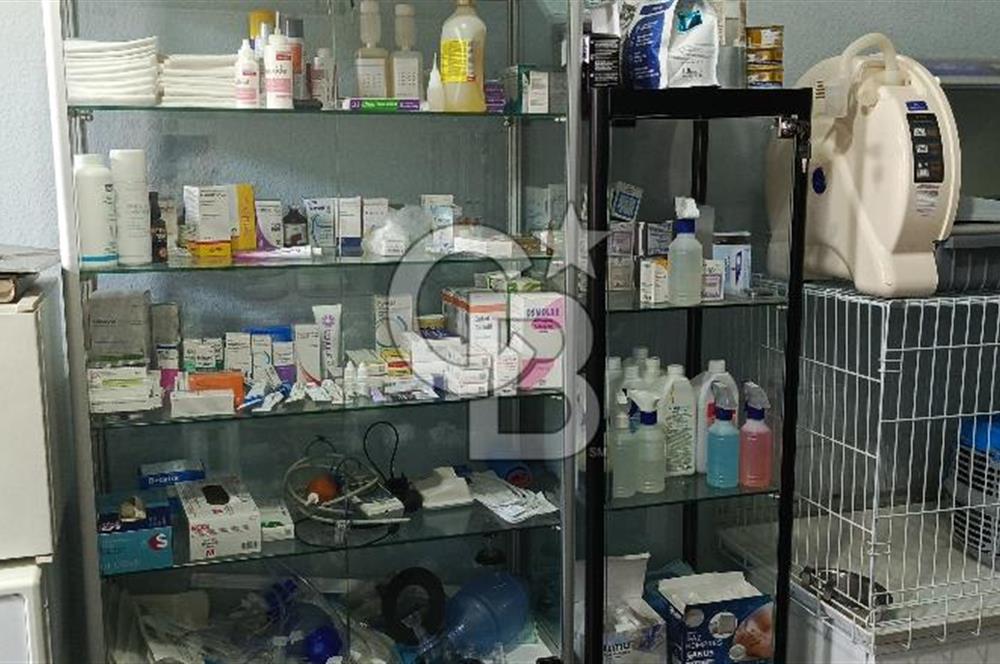 KOŞUYOLUNDA GENİŞ BAHÇELİ DEVREN KİRALIK VETERİNER KLİNİĞİ 