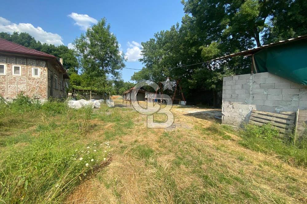 HENDEK UZUNCAORMAN'DA YATIRIMLIK VE HAZIR KULLANIMLI ÇİFTLİK