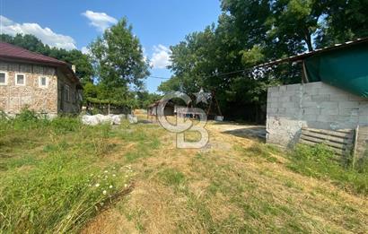 HENDEK UZUNCAORMAN'DA YATIRIMLIK VE HAZIR KULLANIMLI ÇİFTLİK