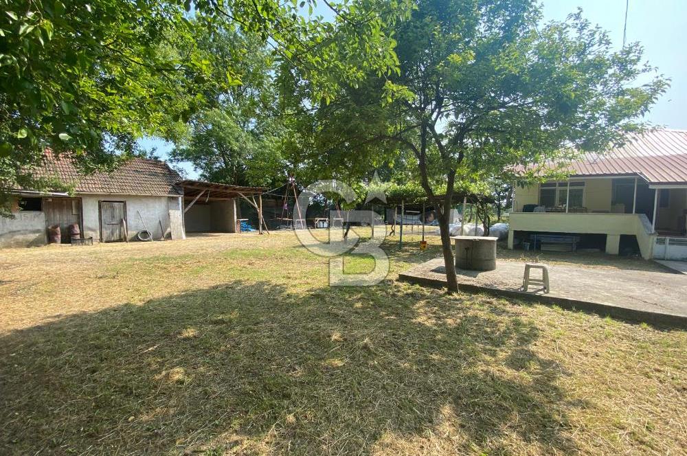 HENDEK UZUNCAORMAN'DA YATIRIMLIK VE HAZIR KULLANIMLI ÇİFTLİK