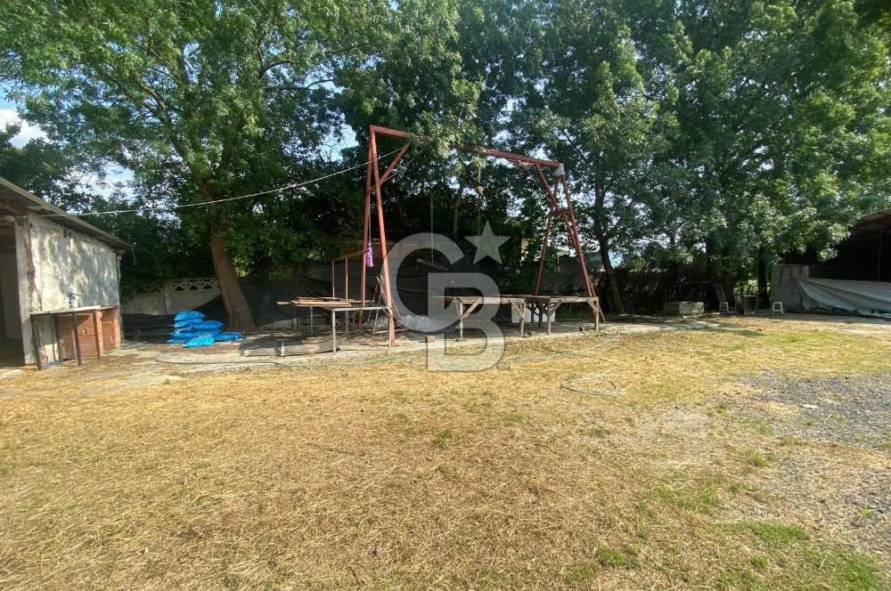 HENDEK UZUNCAORMAN'DA YATIRIMLIK VE HAZIR KULLANIMLI ÇİFTLİK