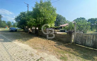 HENDEK UZUNCAORMAN'DA YATIRIMLIK VE HAZIR KULLANIMLI ÇİFTLİK