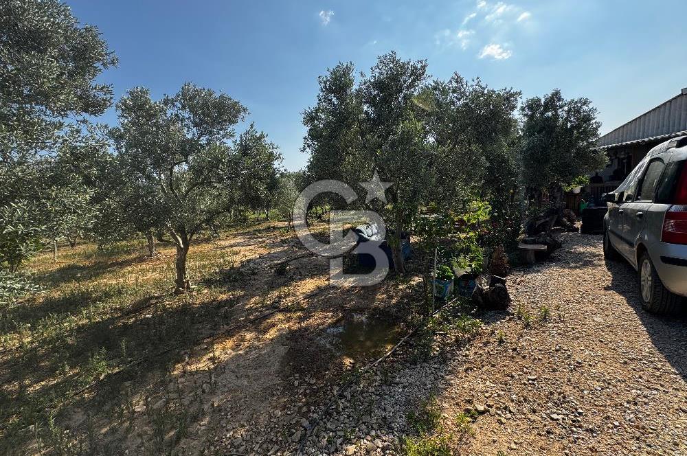 Torbalı Karakızlar’da arazi