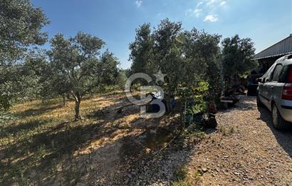 Torbalı Karakızlar’da arazi