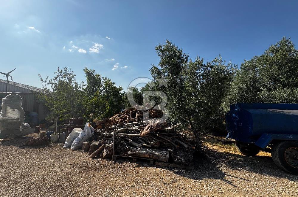 Torbalı Karakızlar’da arazi