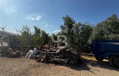 Torbalı Karakızlar’da arazi