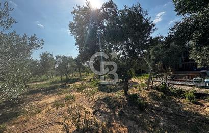 Torbalı Karakızlar’da arazi