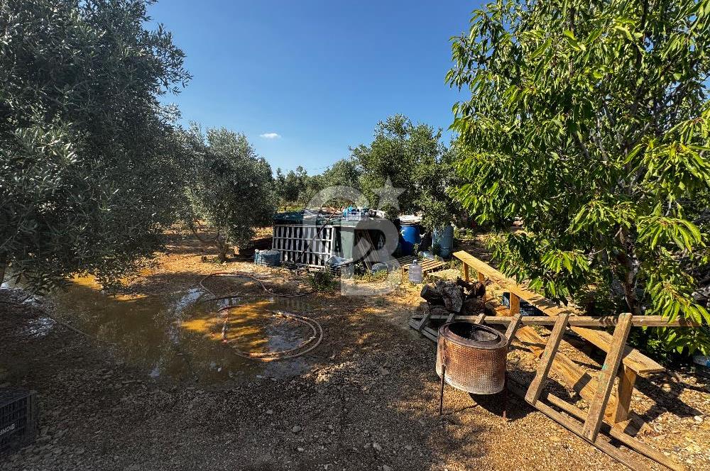 Torbalı Karakızlar’da arazi