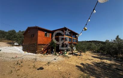 Torbalı Karakızlar’da arazi