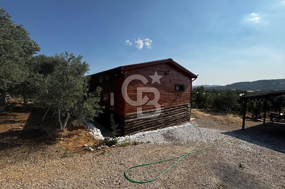 Torbalı Karakızlar’da arazi