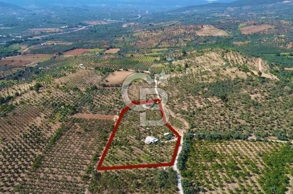 Torbalı Karakızlar’da arazi