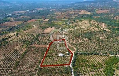 Torbalı Karakızlar’da arazi