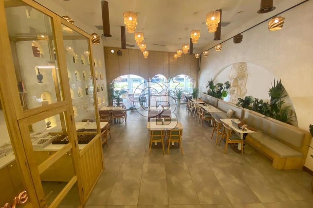 VELUX AVM DE YÜKSEK CİROLU DEVREN KİRALIK CAFE HİSSESİ