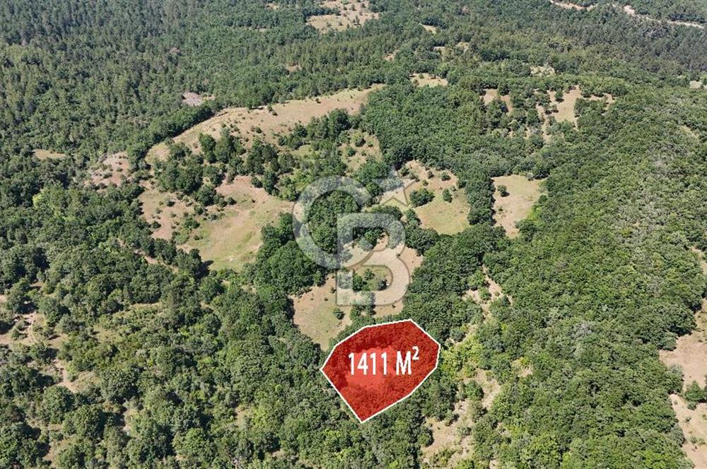 Çanakkale Yenice Örencik Köyü'nde 1411 M² Satılık Tarla!