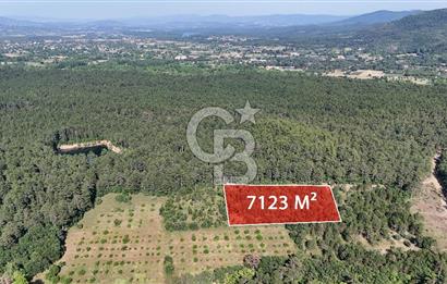 Çanakkale Yenice Örencik Köyü'nde Satılık 7123 M² Tarla !