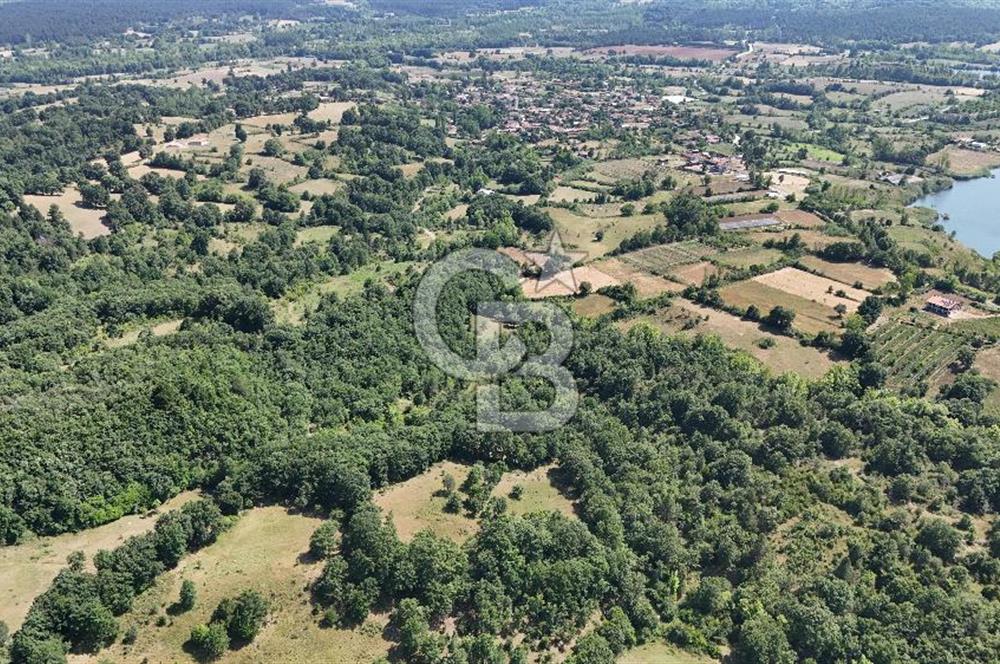 Çanakkale Yenice Örencik Köyü'nde 1411 M² Satılık Tarla!
