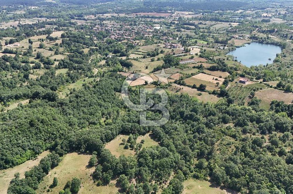 Çanakkale Yenice Örencik Köyü'nde 1411 M² Satılık Tarla!