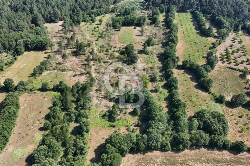 Çanakkale Yenice Örencik Köyü'nde 1902 M² Satılık Tarla !