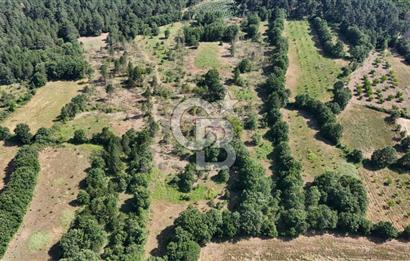 Çanakkale Yenice Örencik Köyü'nde 1902 M² Satılık Tarla !