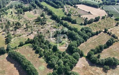 Çanakkale Yenice Örencik Köyü'nde 1902 M² Satılık Tarla !