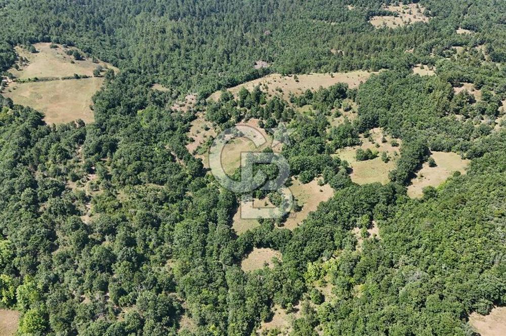 Çanakkale Yenice Örencik Köyü'nde 1411 M² Satılık Tarla!