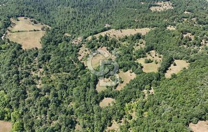 Çanakkale Yenice Örencik Köyü'nde 1411 M² Satılık Tarla!