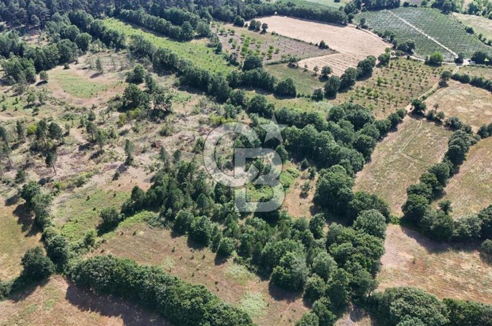 Çanakkale Yenice Örencik Köyü'nde 1902 M² Satılık Tarla !
