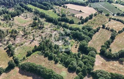 Çanakkale Yenice Örencik Köyü'nde 1902 M² Satılık Tarla !