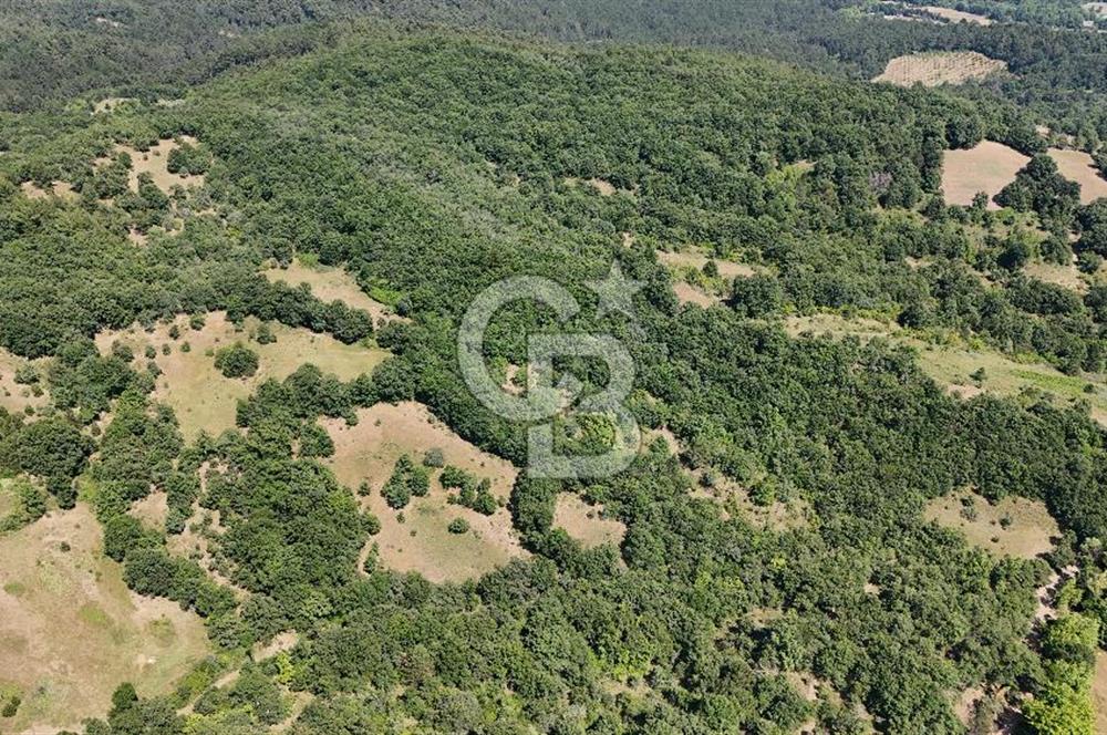 Çanakkale Yenice Örencik Köyü'nde 1411 M² Satılık Tarla!