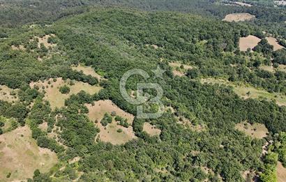 Çanakkale Yenice Örencik Köyü'nde 1411 M² Satılık Tarla!