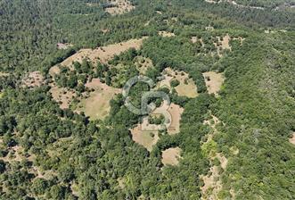 Çanakkale Yenice Örencik Köyü'nde 1411 M² Satılık Tarla!