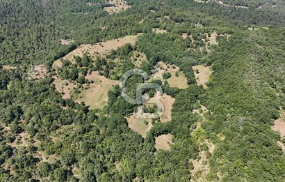 Çanakkale Yenice Örencik Köyü'nde 1411 M² Satılık Tarla!