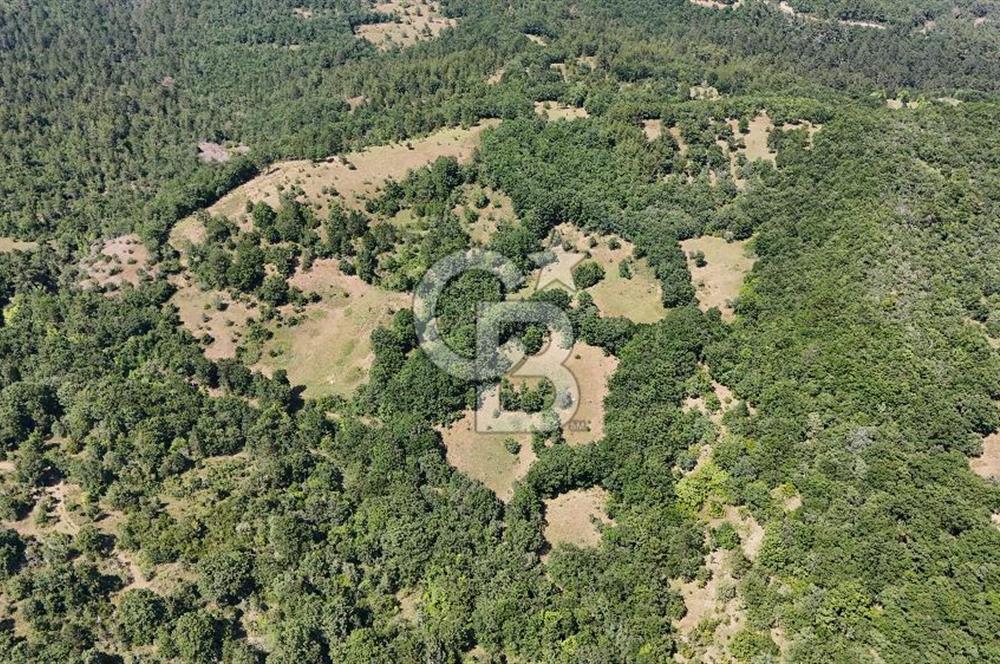 Çanakkale Yenice Örencik Köyü'nde 1411 M² Satılık Tarla!