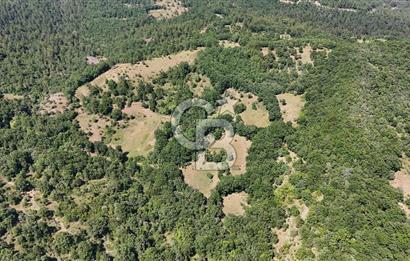 Çanakkale Yenice Örencik Köyü'nde 1411 M² Satılık Tarla!