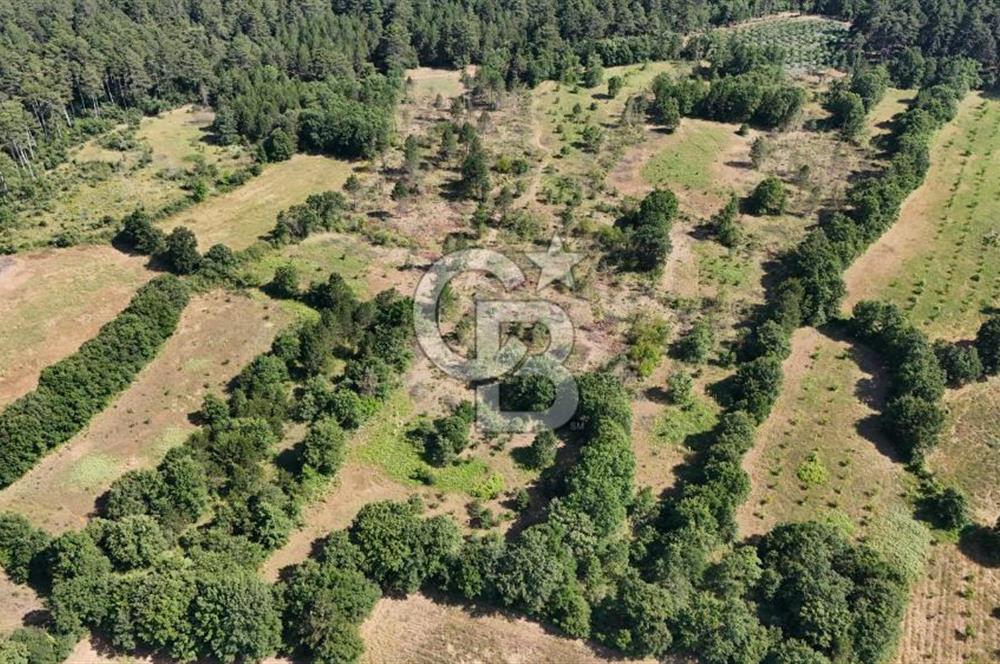 Çanakkale Yenice Örencik Köyü'nde 1902 M² Satılık Tarla !