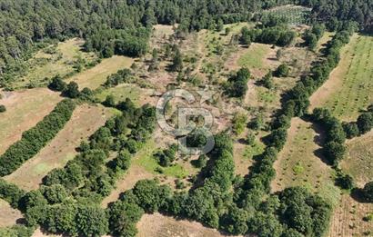 Çanakkale Yenice Örencik Köyü'nde 1902 M² Satılık Tarla !
