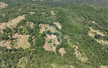 Çanakkale Yenice Örencik Köyü'nde 1411 M² Satılık Tarla!