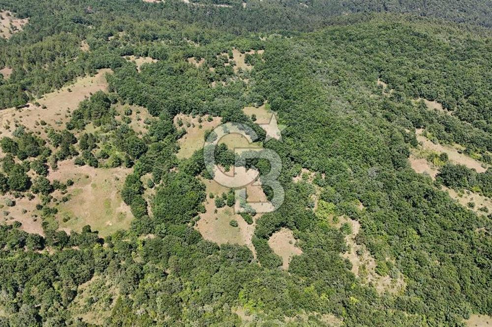 Çanakkale Yenice Örencik Köyü'nde 3935 M² Satılık Tarla !