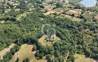 Çanakkale Yenice Örencik Köyü'nde 1411 M² Satılık Tarla!