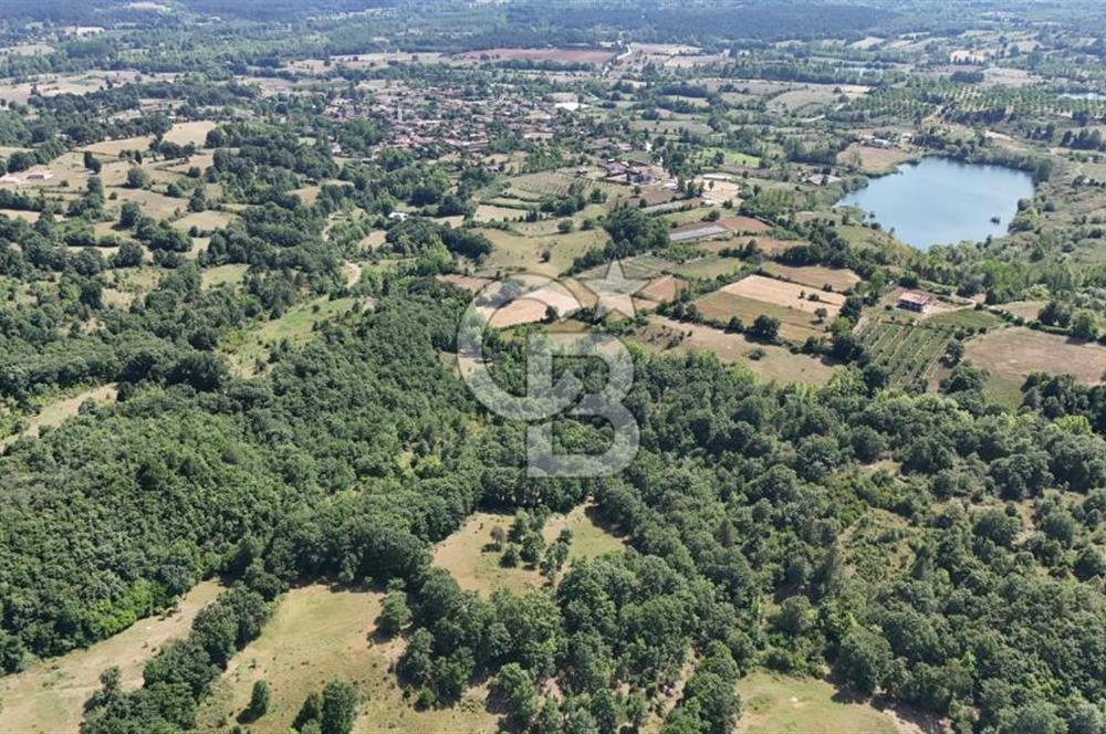 Çanakkale Yenice Örencik Köyü'nde 1411 M² Satılık Tarla!