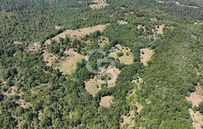 Çanakkale Yenice Örencik Köyü'nde 1411 M² Satılık Tarla!