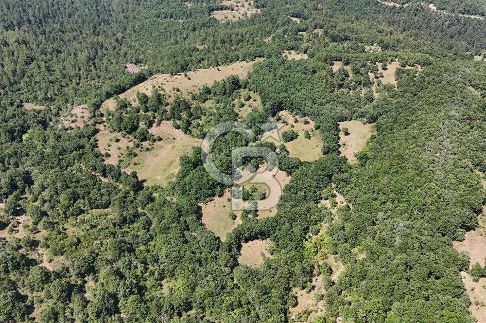 Çanakkale Yenice Örencik Köyü'nde 3935 M² Satılık Tarla !