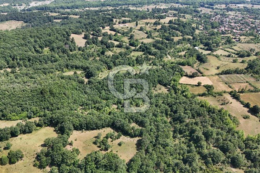 Çanakkale Yenice Örencik Köyü'nde 1411 M² Satılık Tarla!