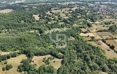 Çanakkale Yenice Örencik Köyü'nde 1411 M² Satılık Tarla!