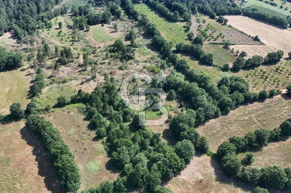 Çanakkale Yenice Örencik Köyü'nde 1902 M² Satılık Tarla !