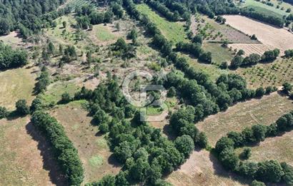 Çanakkale Yenice Örencik Köyü'nde 1902 M² Satılık Tarla !