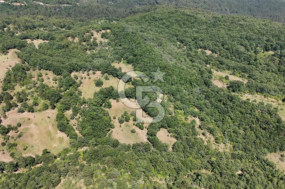 Çanakkale Yenice Örencik Köyü'nde 1411 M² Satılık Tarla!