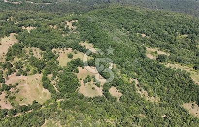 Çanakkale Yenice Örencik Köyü'nde 1411 M² Satılık Tarla!
