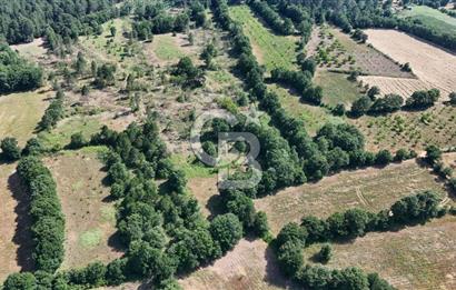Çanakkale Yenice Örencik Köyü'nde 1902 M² Satılık Tarla !