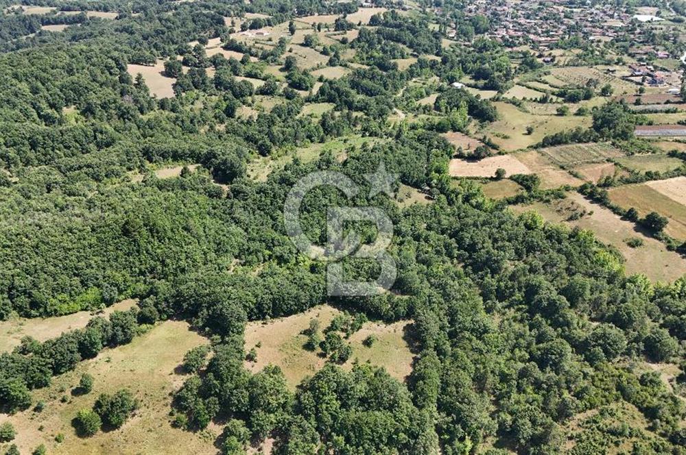 Çanakkale Yenice Örencik Köyü'nde 1411 M² Satılık Tarla!